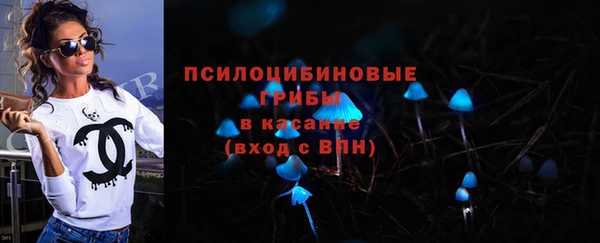 гидра Верхний Тагил
