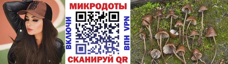 Галлюциногенные грибы GOLDEN TEACHER  даркнет как зайти  Орск  blacksprut как зайти 